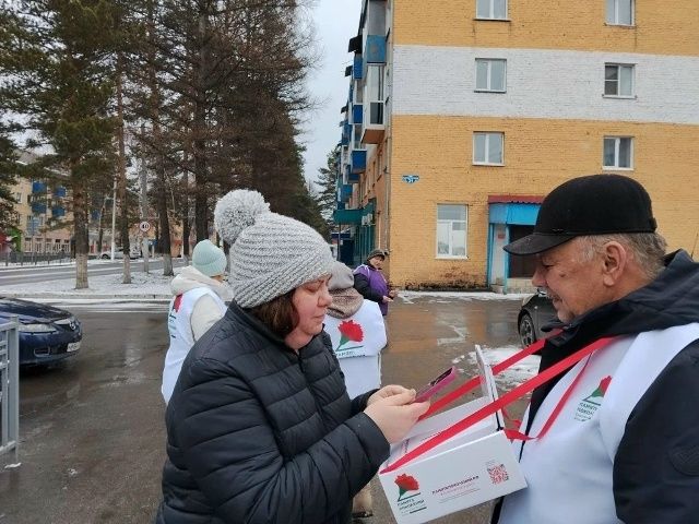 В городе Мыски &laquo;серебряные&raquo; волонтёры объединения &laquo;Огонёк&raquo; провели Всероссийскую акцию &laquo;Красная гвоздика&raquo;