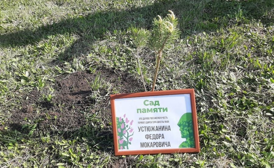 серебряные волонтёры Кузбасса