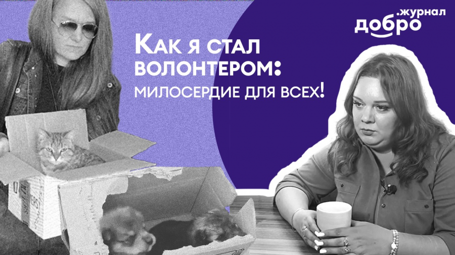Как я стал волонтёром (фильм седьмой)