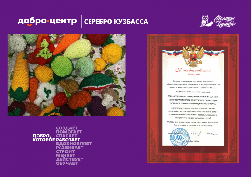Серебряная помощь детям с ОВЗ